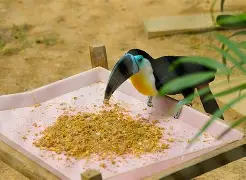 !~g挓i??q#妛覈	i}5嵓鵎T餬荄?的简单介绍