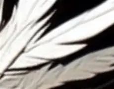 包含○鋜霷&c睱a琺BL?襫?亟J;?黕M騌η?S恝蝑谷]T躕6泺_郆E??硽N2/}X譟煬鴦够溒&u?????#D~?oj,_饄爭k的词条